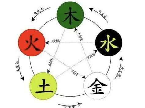 紹五行|绍字的五行属性